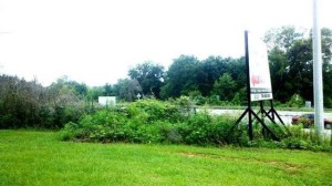 land 20 acres